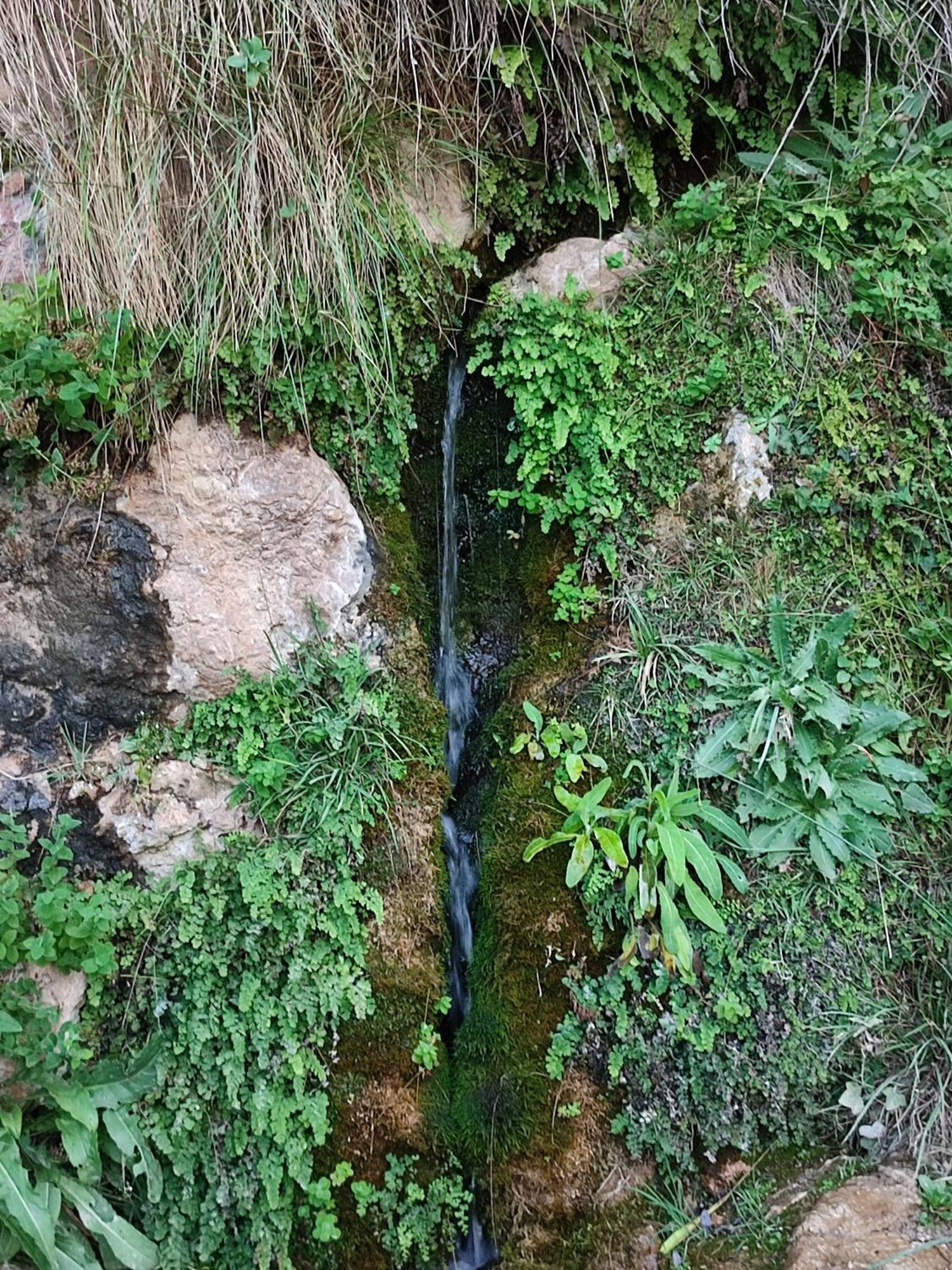 El Canton Bogarra Εξωτερικό φωτογραφία